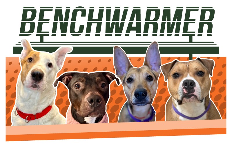 Benchwarmers