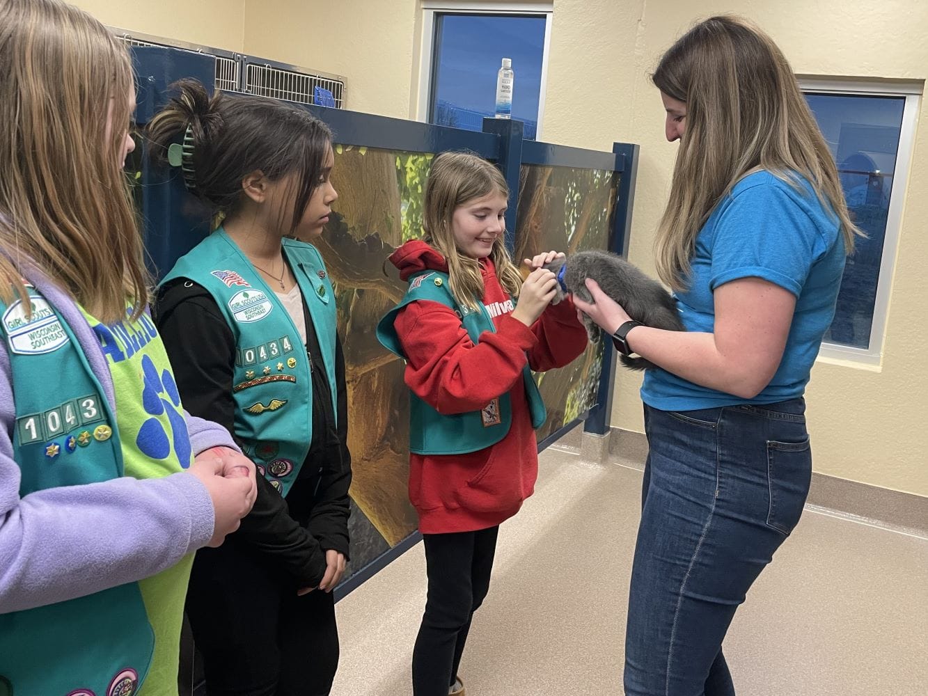 Staff member holding animal while three girl scouts observe and pet