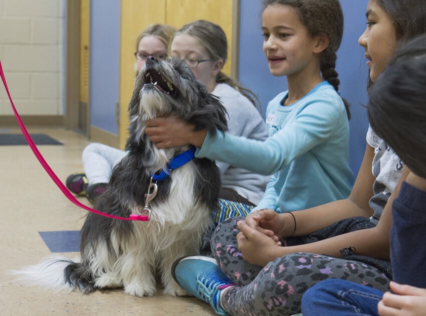 Kids petting a fluffy dog