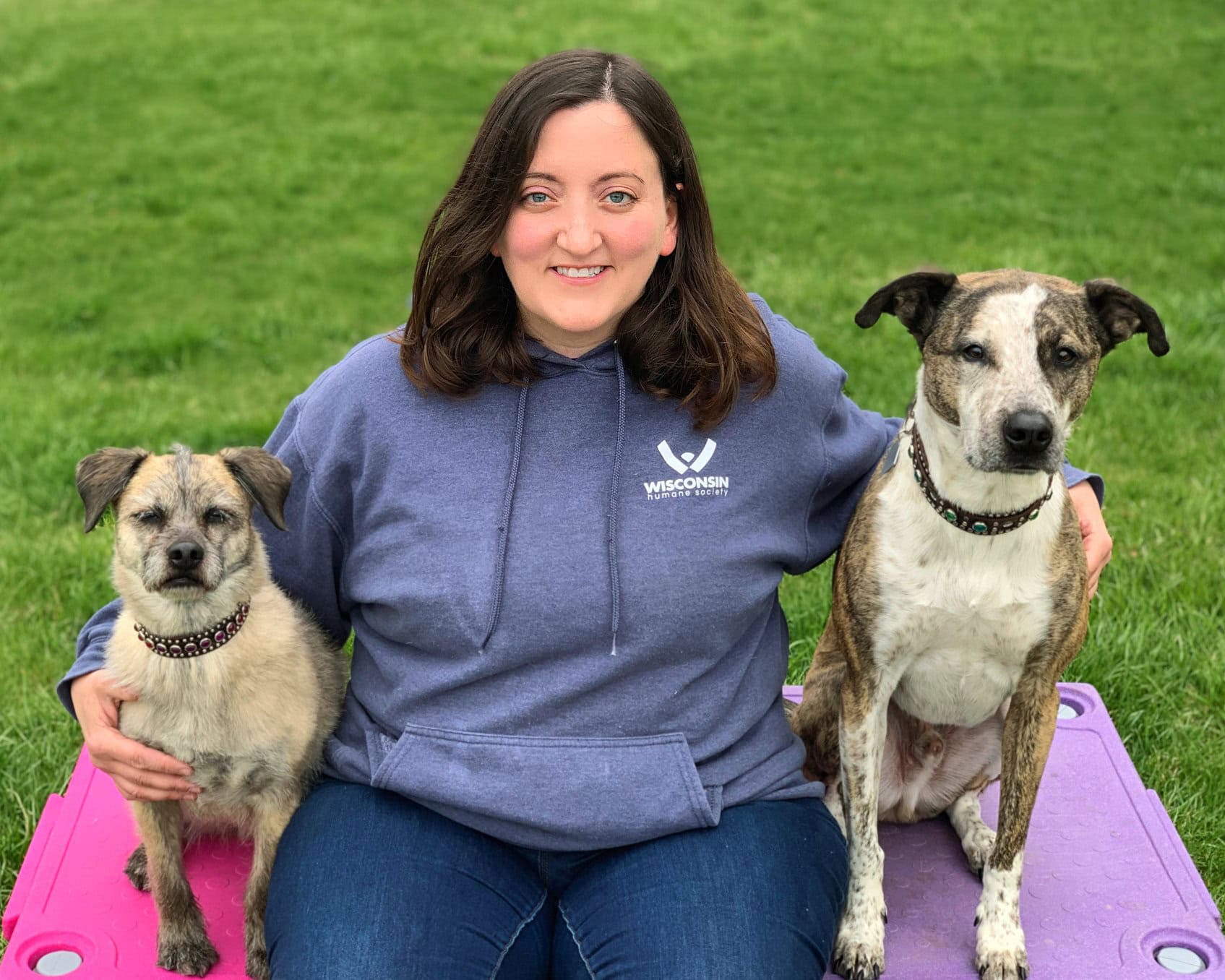 WHS staff member sitting next to two dogs
