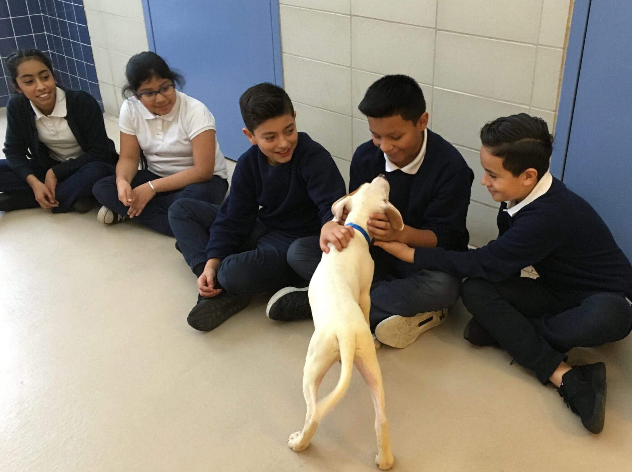 children in school uniforms greet puppy