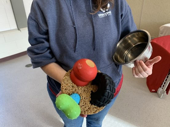 Person holding the frozen enrichment activity