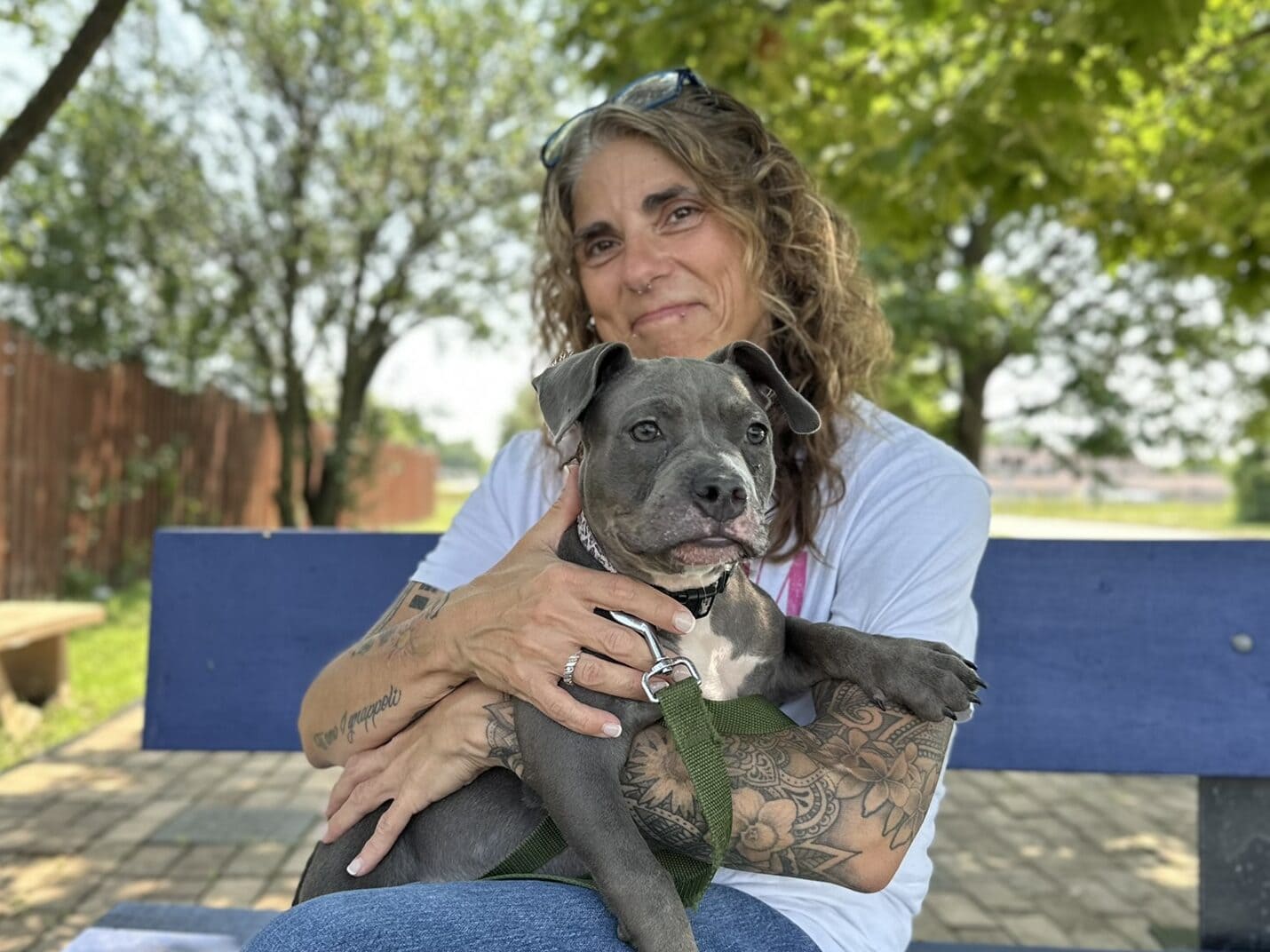 woman sits on bench in park with grey dog on lap