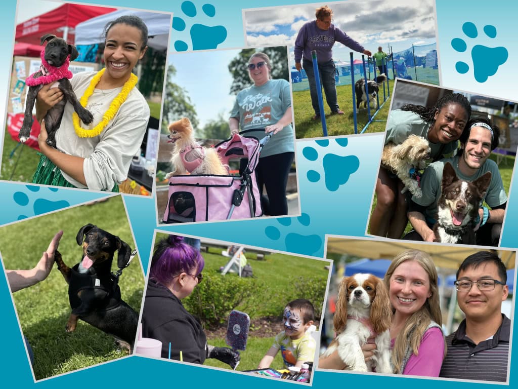 Photos of people and their pets at Pet Walk