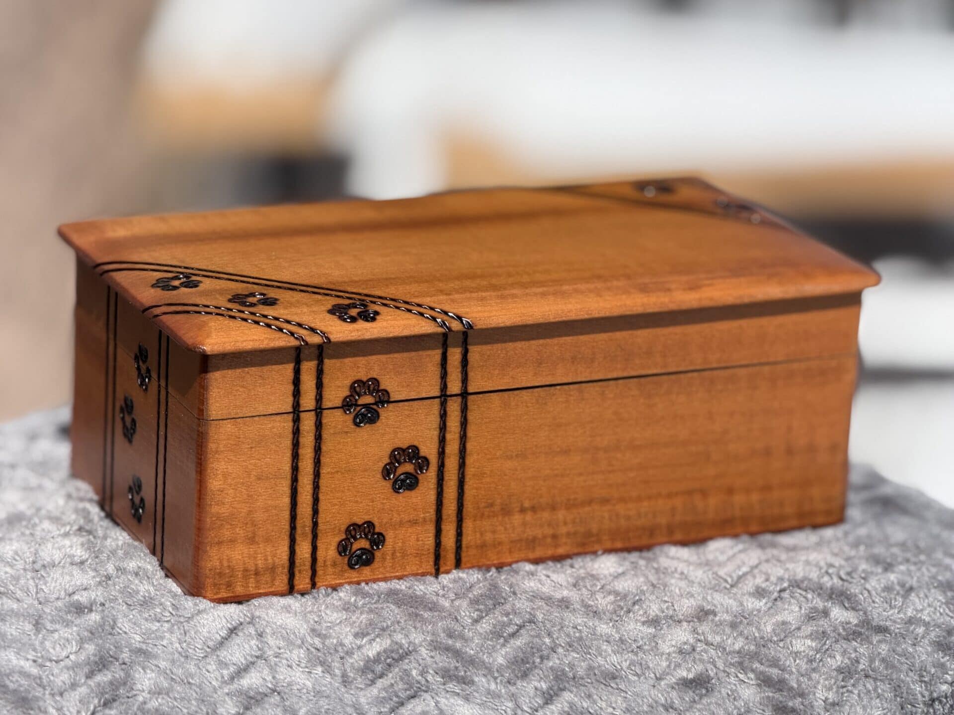 wooden memorial box with engraved paw prints sit in the sun