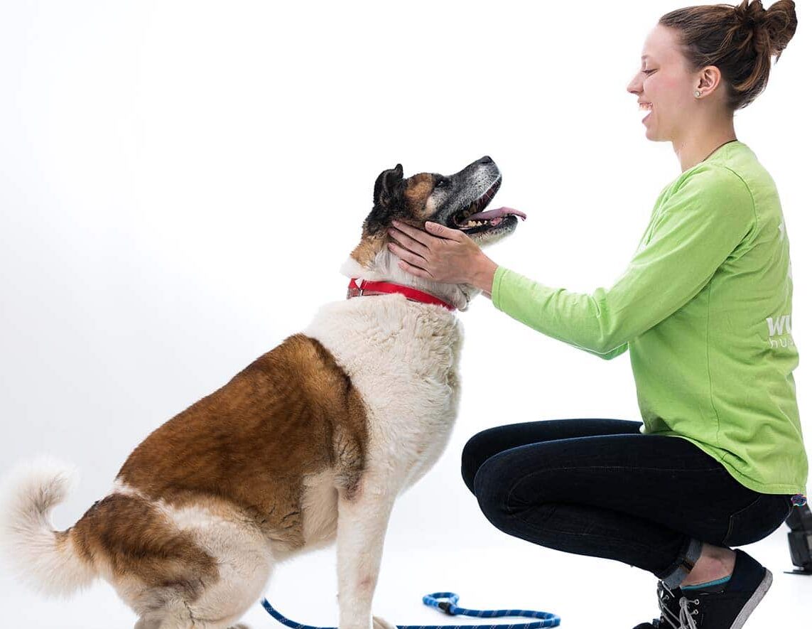 Smiling woman crouches down to pet happy dog