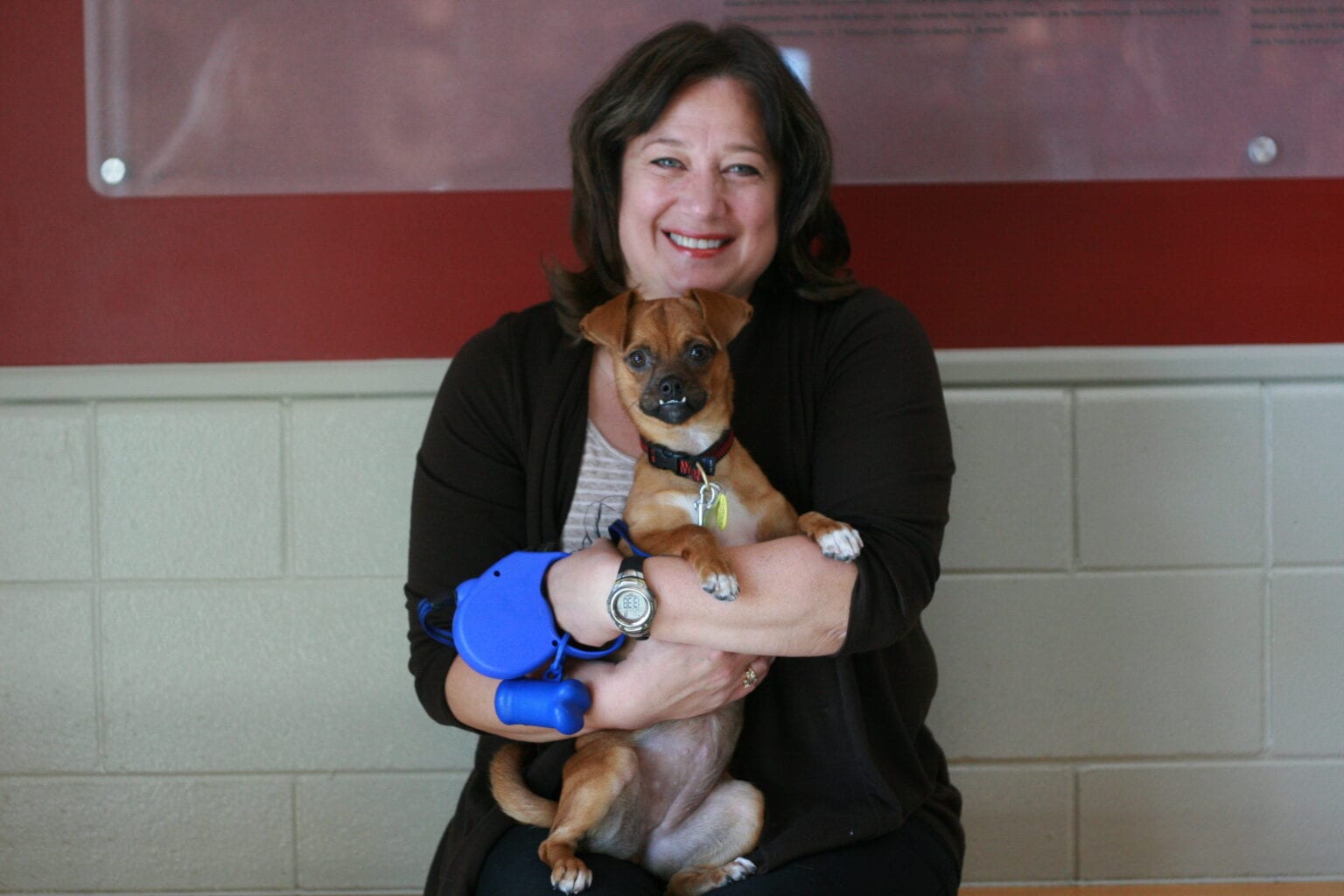 Humane Way Ways to Give - Wisconsin Humane Society