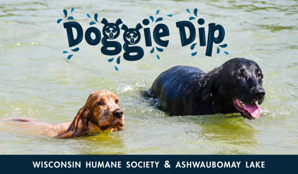 Doggie Dip Header