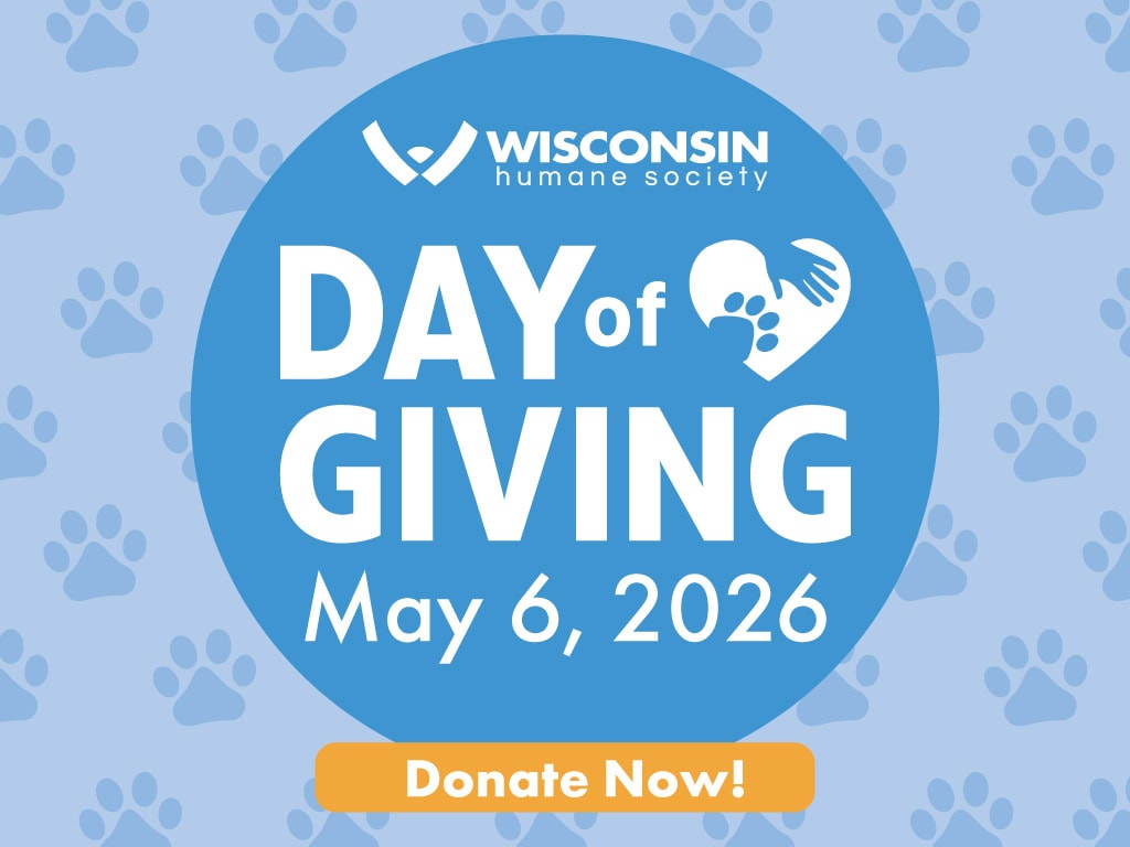 Day of Giving - May 6, 2026