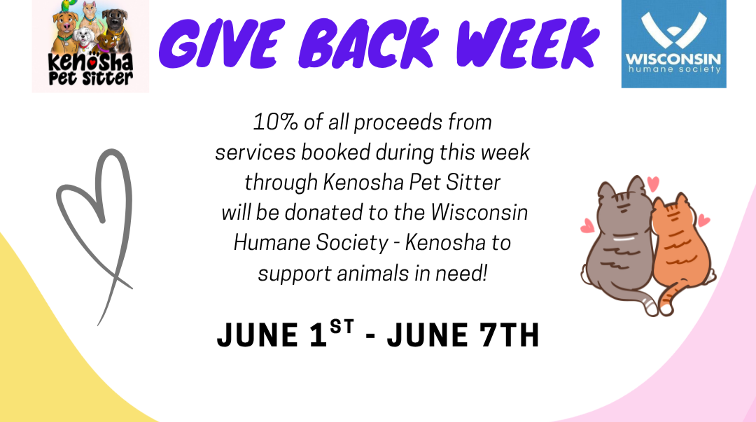 Kenosha Pet Sitter Give Back Week June 1-7, 2026
