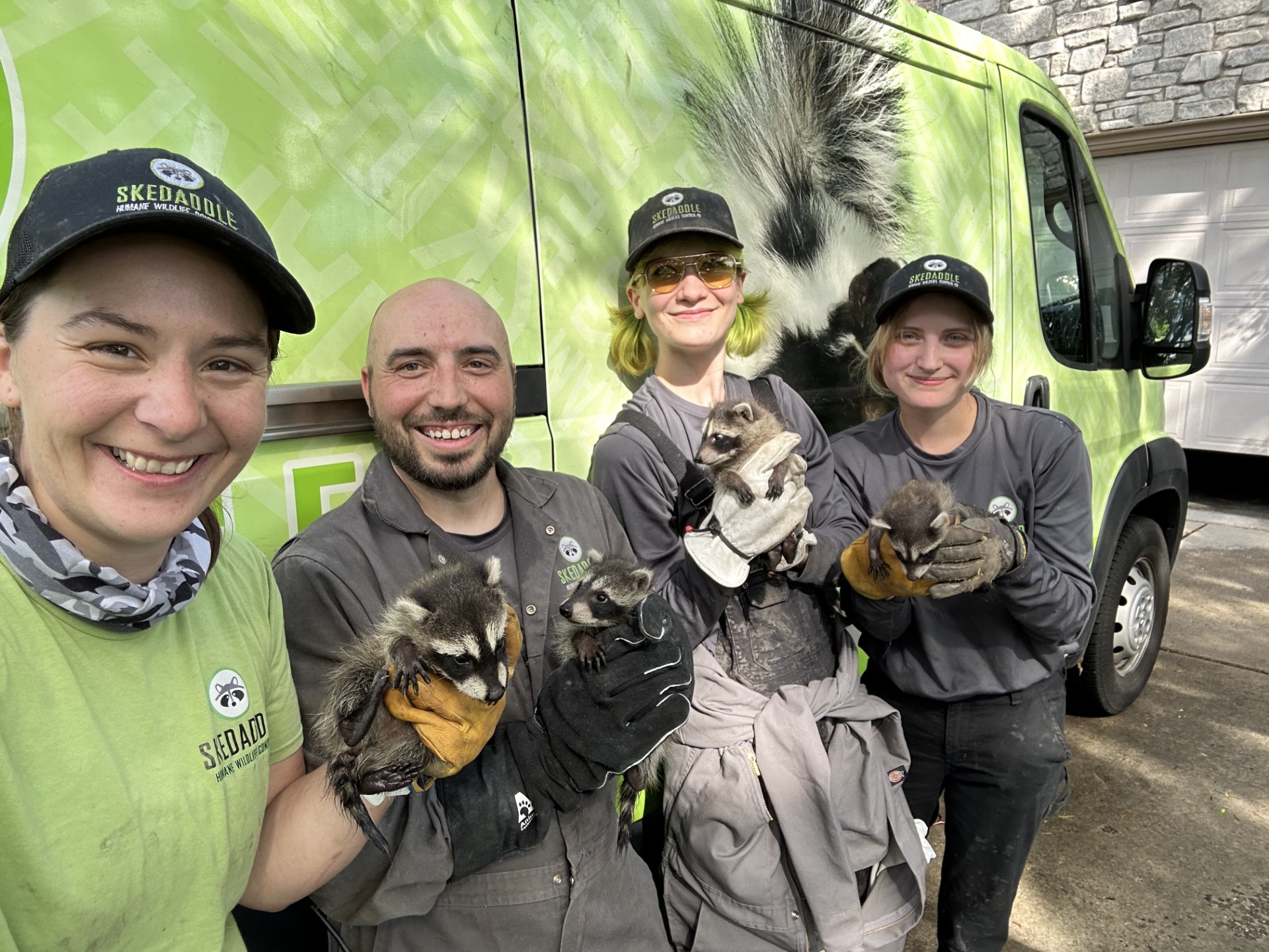Skedaddle staff members hold baby raccoons