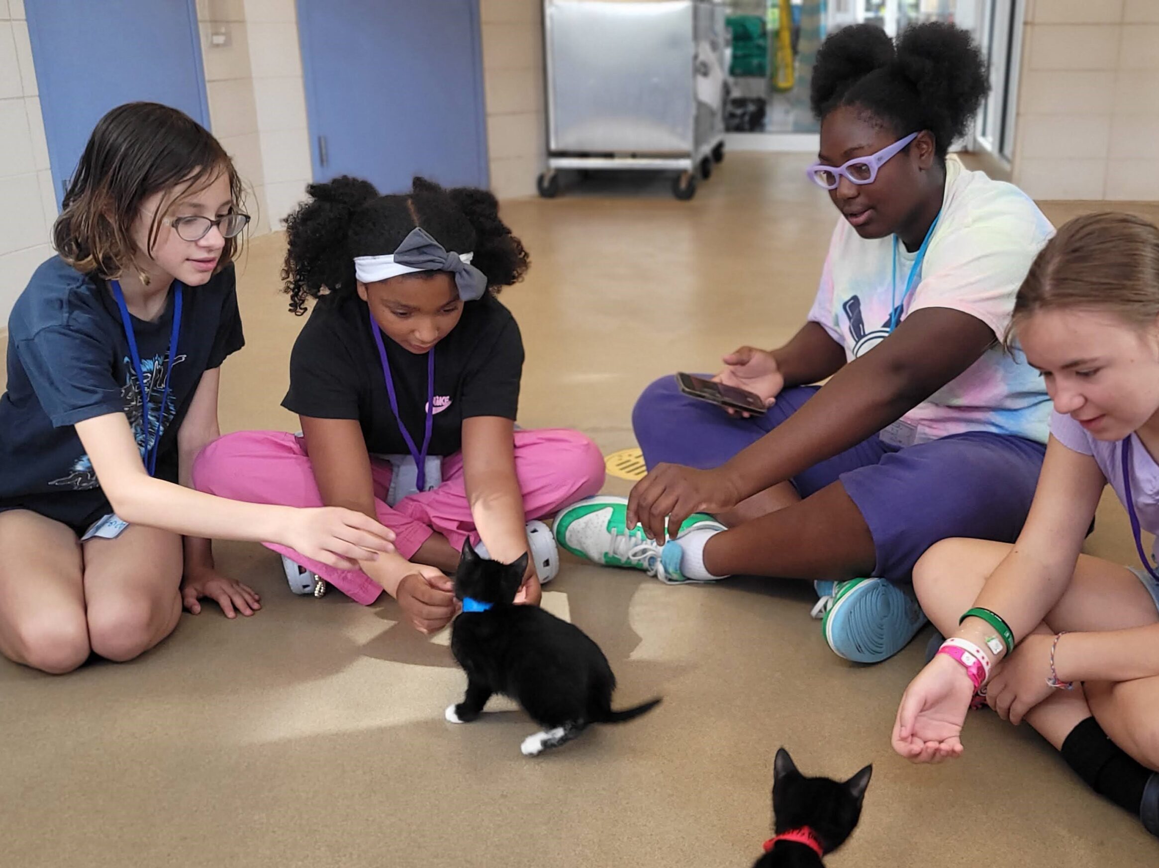 campers sit on floor greeting kittens