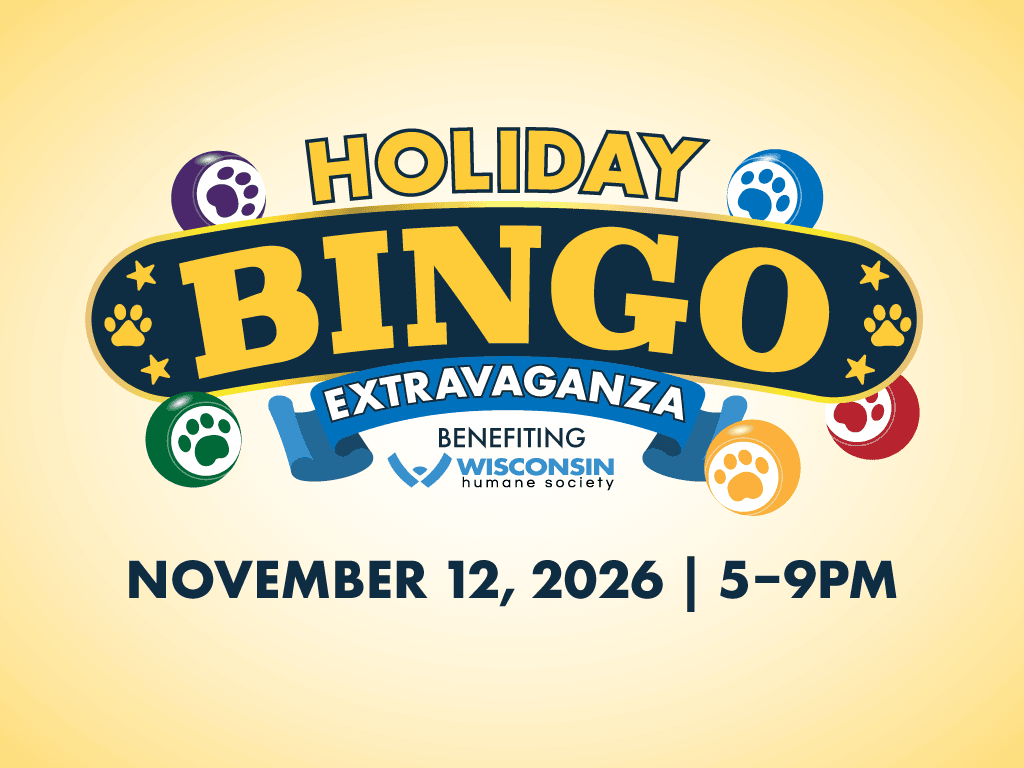 Holiday Bingo Extravaganza