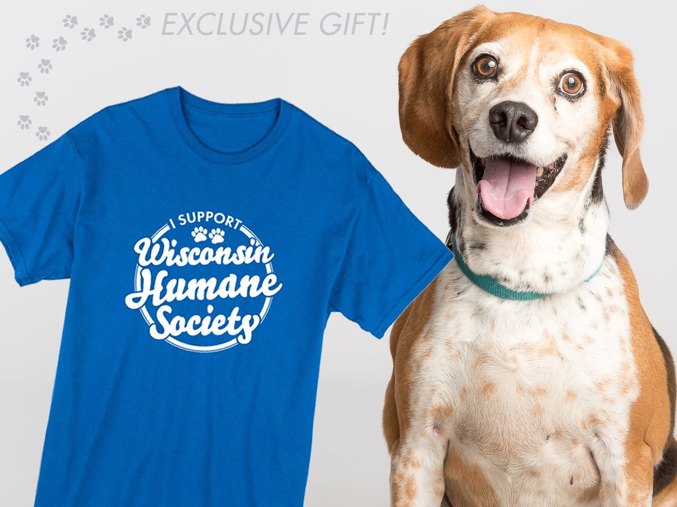 Monthly Donor T-shirt Giveaway