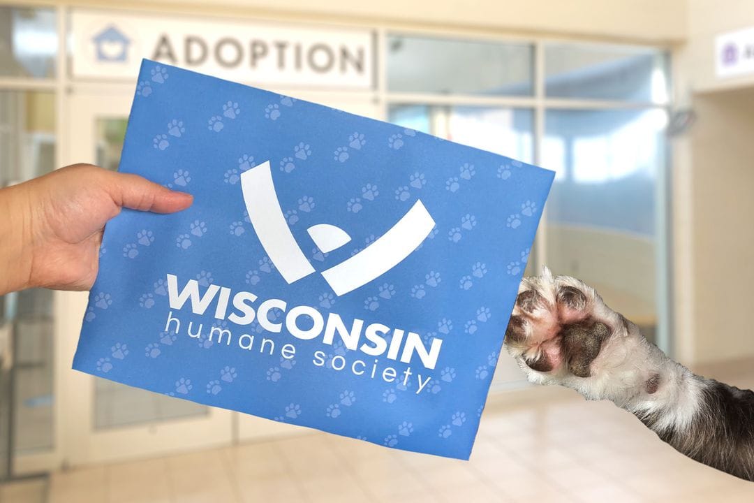 WHS adoption enveople