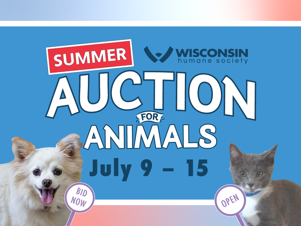 Summer Auction for Animals 2026