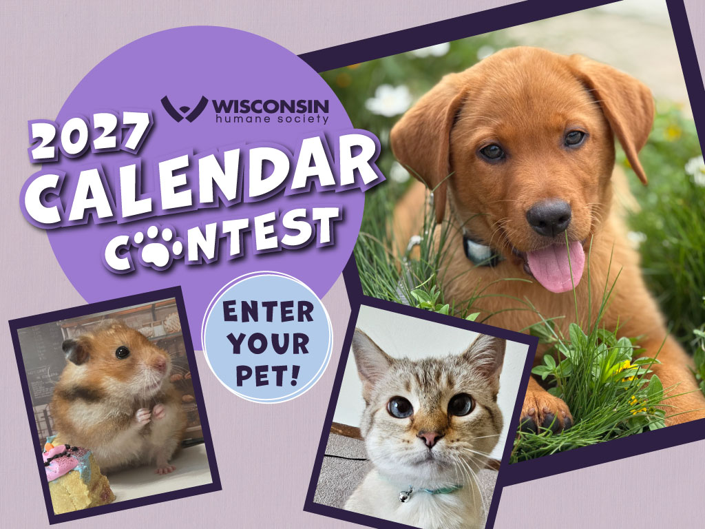 Enter the 2027 Calendar Contest!