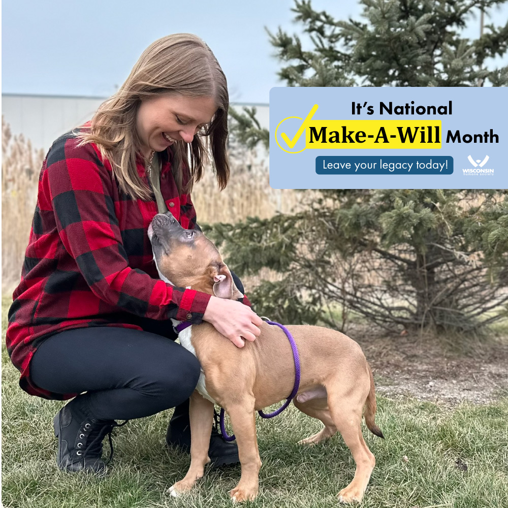 Make-A-Will Month, girl petting a dog outside
