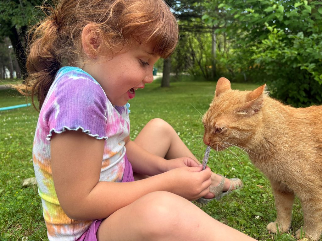 Girl feeding orange cat outside